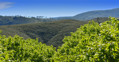 Gradação do verde ao azul entre montes e vales