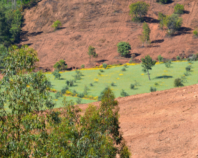 Faixa verde atravessa a terra