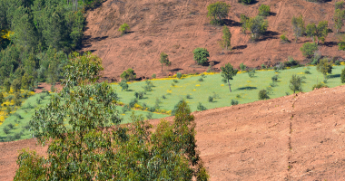 Faixa verde atravessa a terra