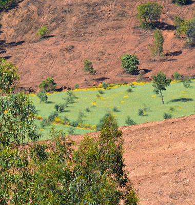 Faixa verde atravessa a terra