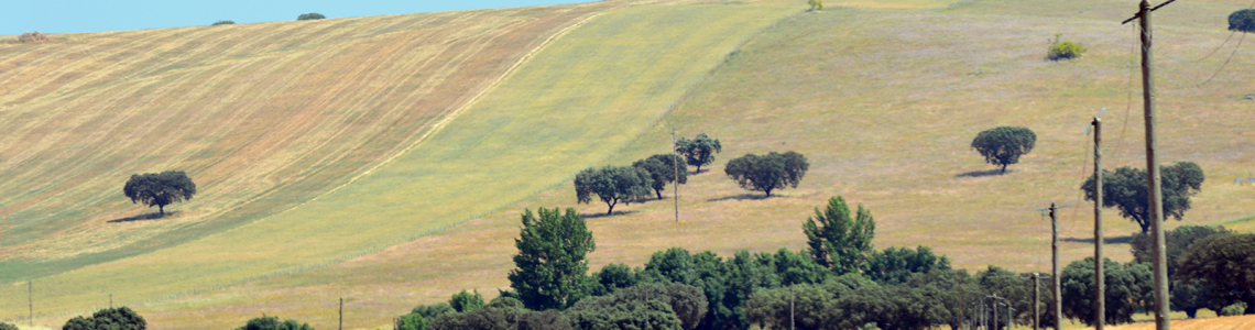 Estrada para Monforte