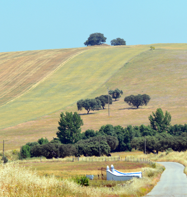 Estrada para Monforte