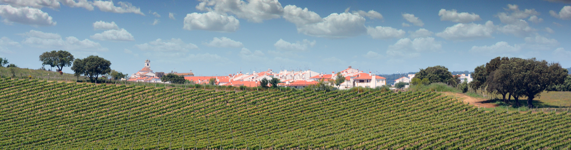 Arronches (vista Este)