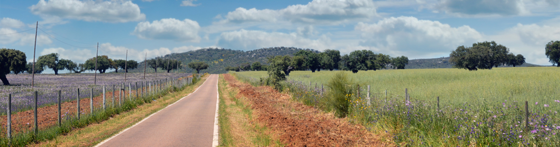 Estrada perto de Nave Fria