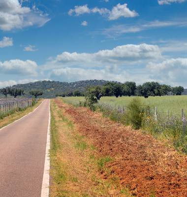 Estrada perto de Nave Fria