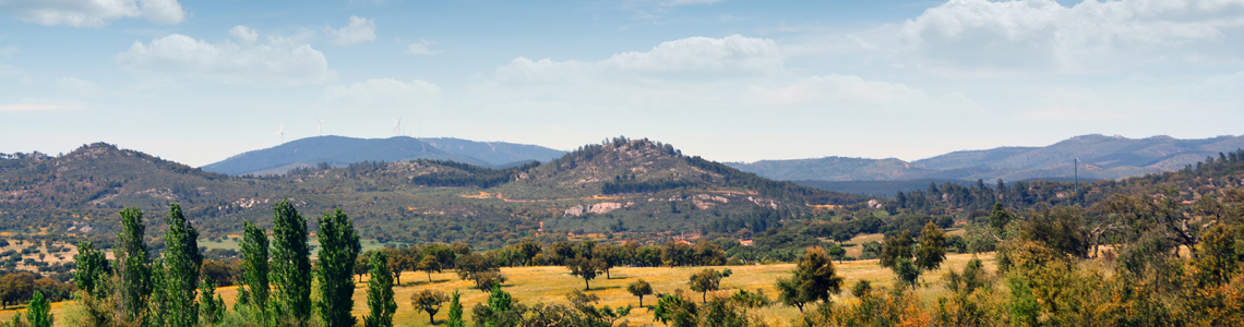 São Mamede à vista