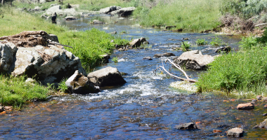 Rio Caia entre Mosteiros e Assumar