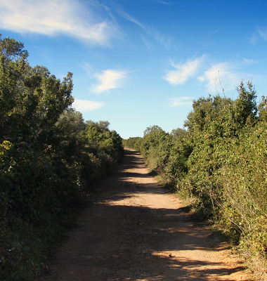 No caminho de São Lourenço…