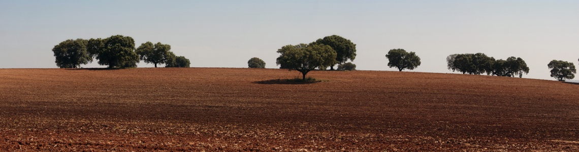 Terra Lavrada