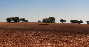 Terra Lavrada