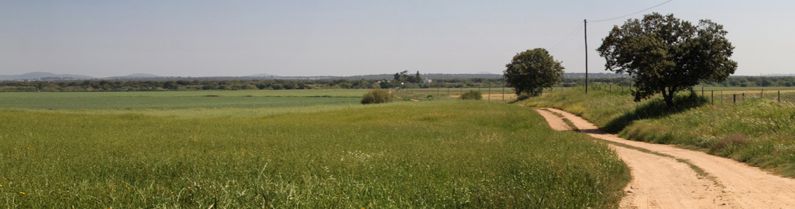 Várzea do Xévora