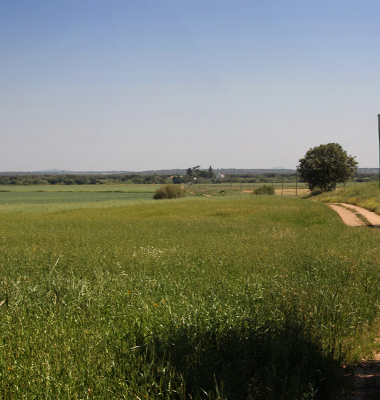 Várzea do Xévora