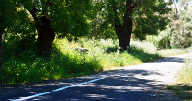 Caminho perto de Castelo de Vide