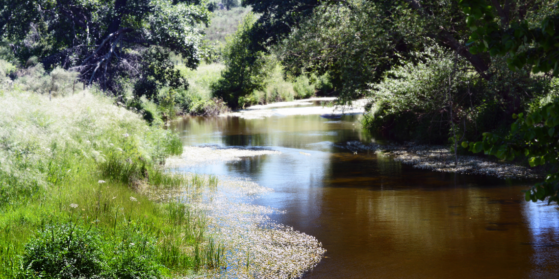 Ribeira de Nisa (Alagoa – Castº de Vide)