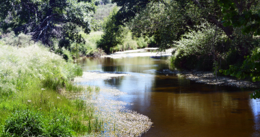 Ribeira de Nisa (Alagoa – Castº de Vide)