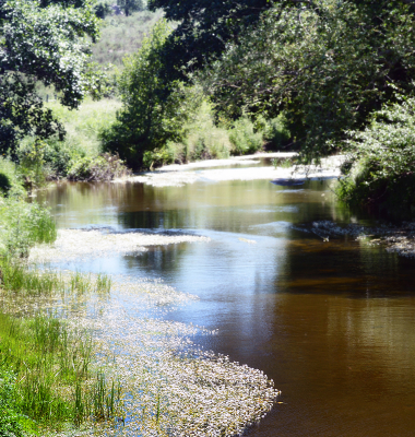 Ribeira de Nisa (Alagoa – Castº de Vide)