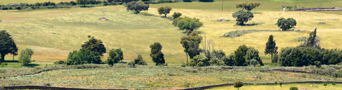 Vista sobre os campos