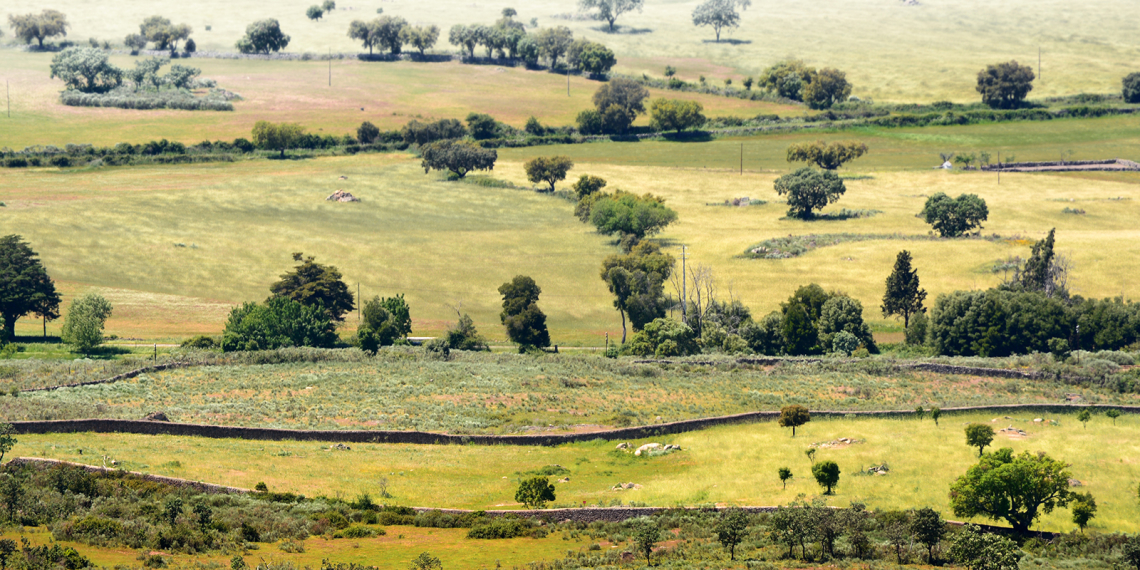 Vista sobre os campos