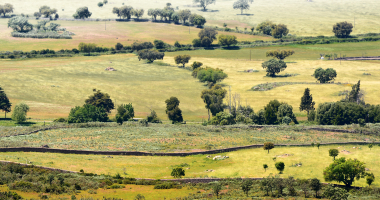 Vista sobre os campos