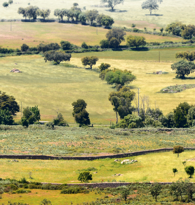 Vista sobre os campos