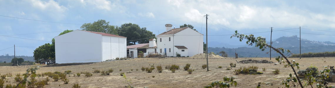Monte a caminho da Barragem de Nisa