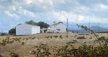 Monte a caminho da Barragem de Nisa