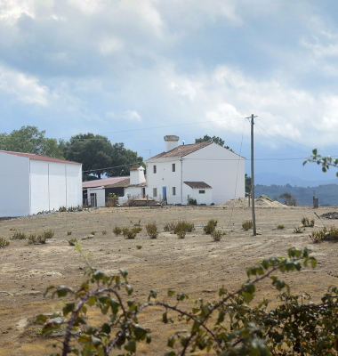 Monte a caminho da Barragem de Nisa