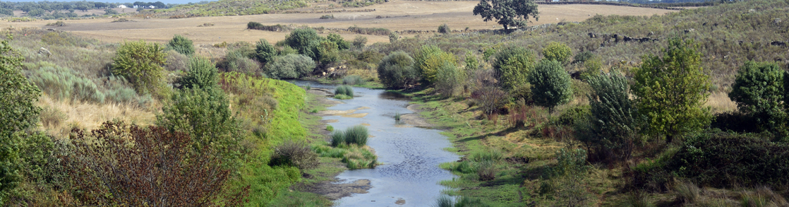 Ribeira de Nisa a montante da barragem (vista para Norte)