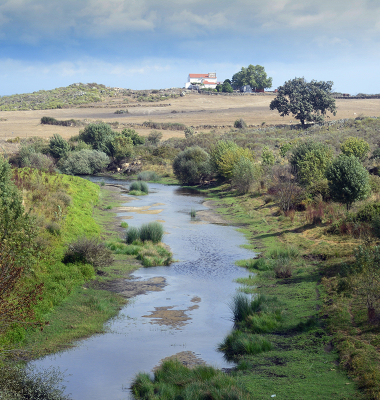 Ribeira de Nisa a montante da barragem (vista para Norte)