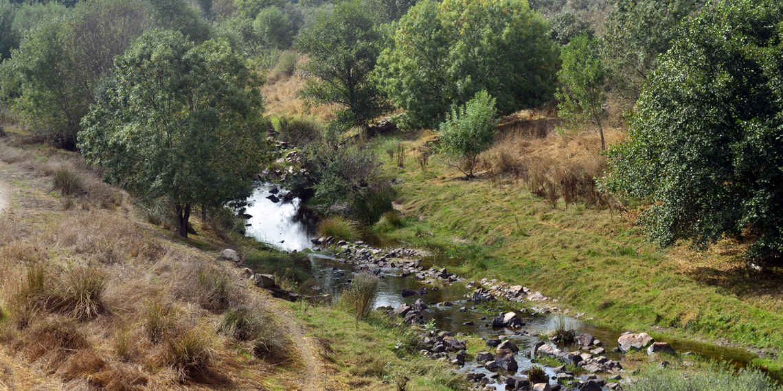 Ribeira de Nisa a montante da barragem (vista para Sul)