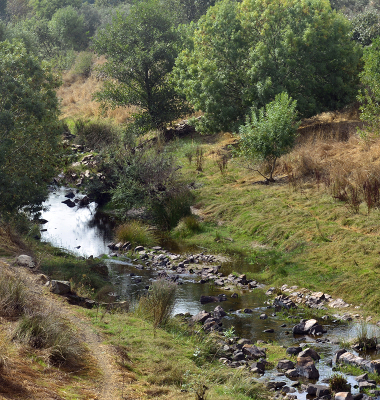 Ribeira de Nisa a montante da barragem (vista para Sul)