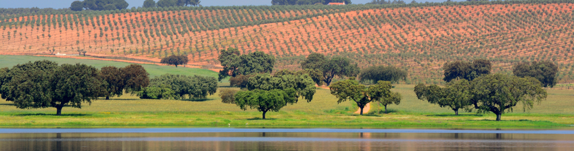 Barragem do Abrilongo