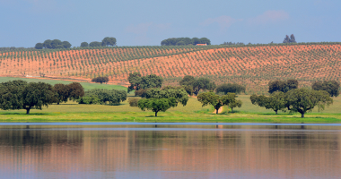 Barragem do Abrilongo