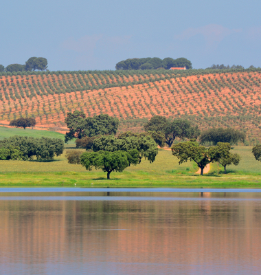 Barragem do Abrilongo