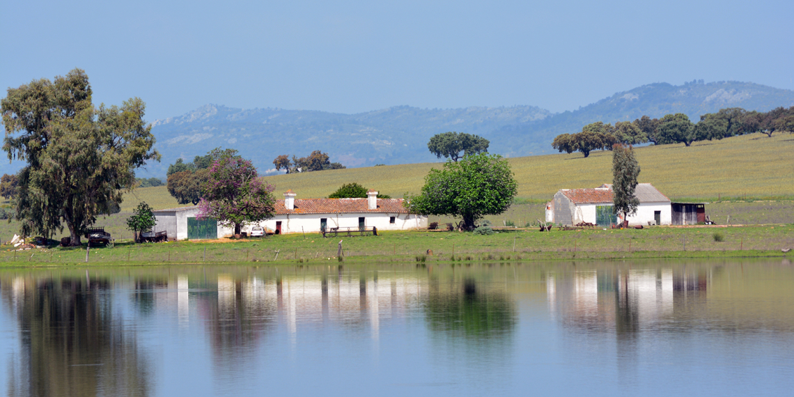 Monte no Abrilongo