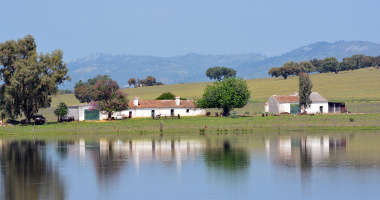 Monte no Abrilongo