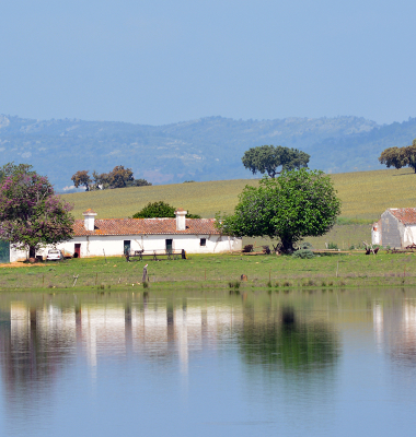 Monte no Abrilongo