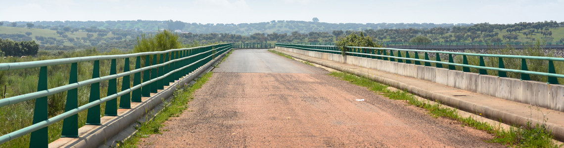 Estrada no Abrilongo