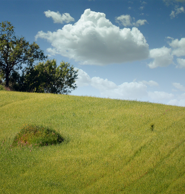 Uma colina perto de Campo Maior