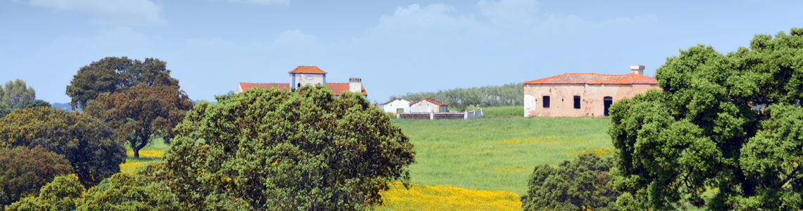 Monte entre Abrilongo e Ouguela