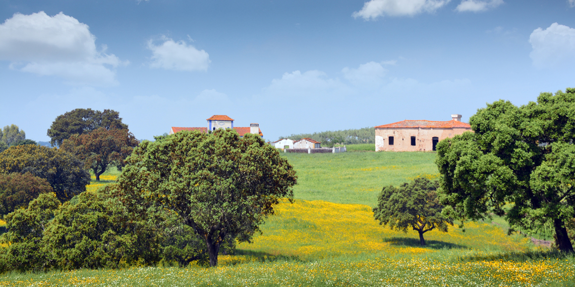 Monte entre Abrilongo e Ouguela