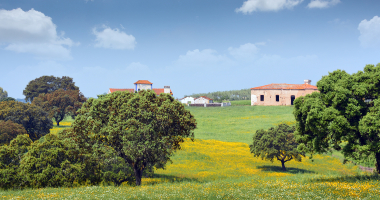 Monte entre Abrilongo e Ouguela