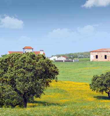 Monte entre Abrilongo e Ouguela