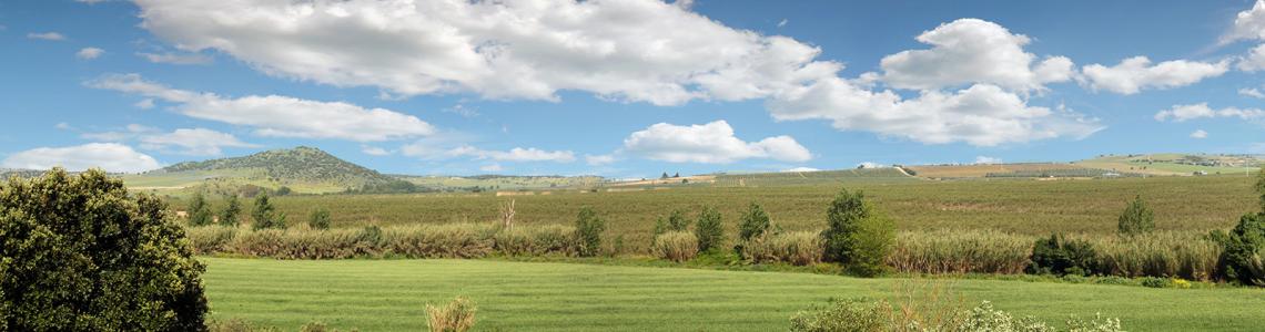 Ribeiros que marcam a paisagem