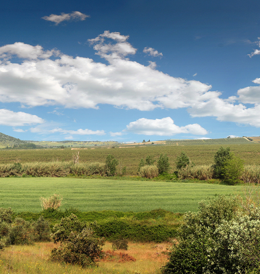 Ribeiros que marcam a paisagem