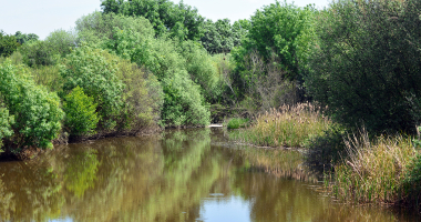 Ribeiro de Abrilongo