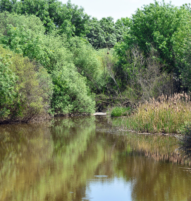 Ribeiro de Abrilongo