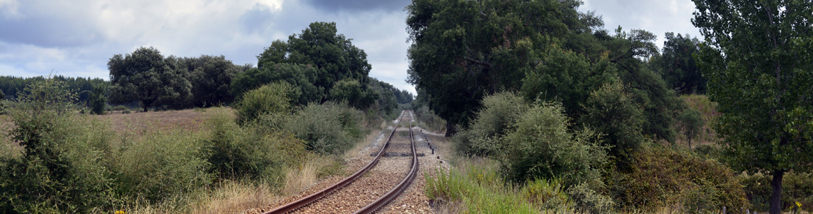 Linha de caminho de ferro (Aldeia da Mata)