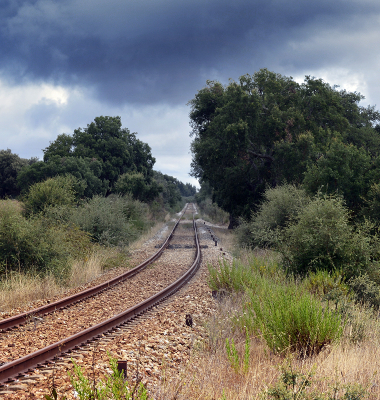 Linha de caminho de ferro (Aldeia da Mata)