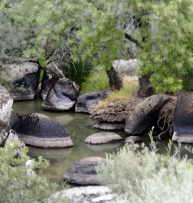 Ribeira da praia fluvial